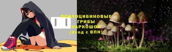 соль курить ск Верхний Тагил