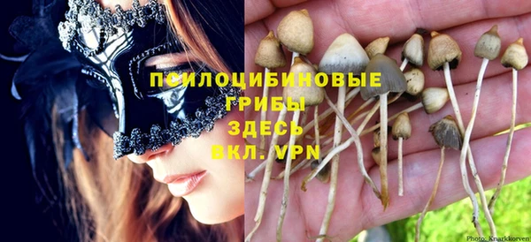 соль курить ск Верхний Тагил